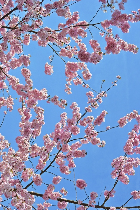 babygirl00004 header picture leakfans.com