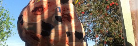 babygirlkaylaxo header picture leakfans.com