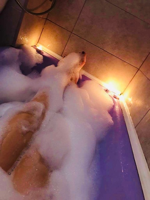 babygirlm03 header picture leakfans.com