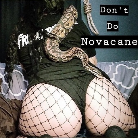 babygirlnovacane header picture leakfans.com