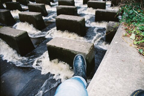 babygoose header picture leakfans.com