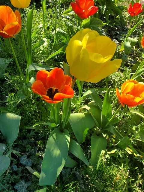 babygoth1230 header picture leakfans.com