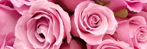 babypink header picture leakfans.com