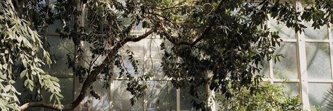 babyzooted header picture leakfans.com