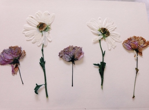 bacardiblonde header picture leakfans.com