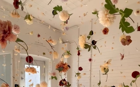 badbitchallie header picture leakfans.com