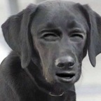 baddievirgo profile picture leakfans.com