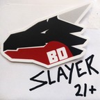 baddragonslayer profile picture leakfans.com