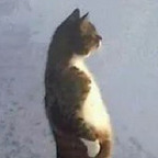 badhorrormovies profile picture