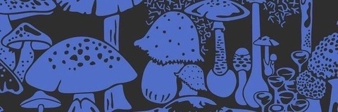 baejadelynn header picture leakfans.com