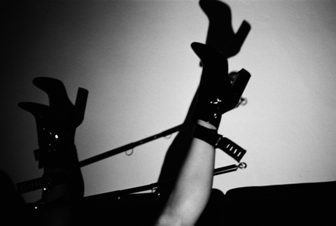 baeleche header picture leakfans.com