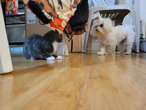 bahiabeca header picture leakfans.com