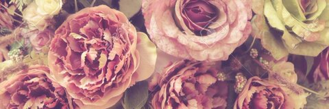Header of baily_roze