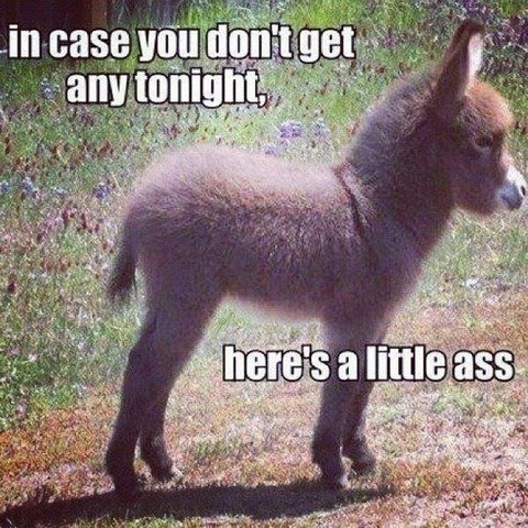 baitbus header picture leakfans.com