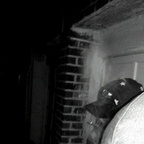 baked profile picture leakfans.com