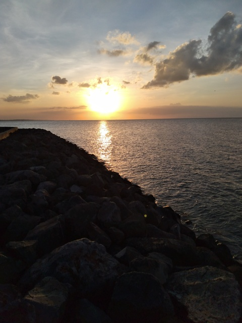 bamboowill header picture leakfans.com