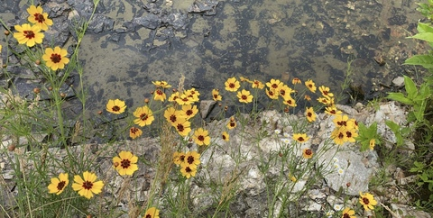 bananacakes21 header picture leakfans.com