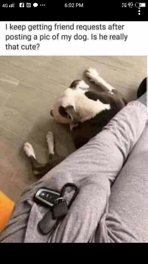 bandagumnami header picture leakfans.com