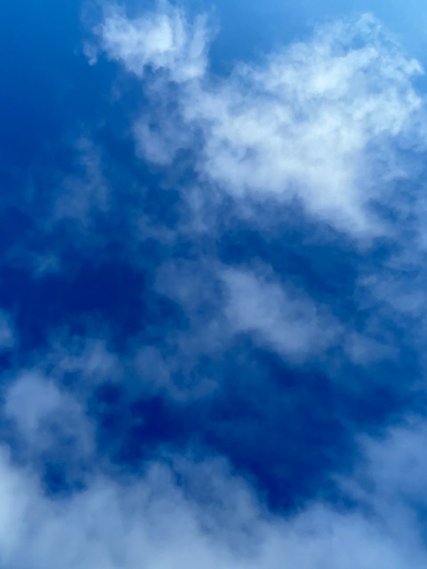 barbiesvipuncensored header picture leakfans.com