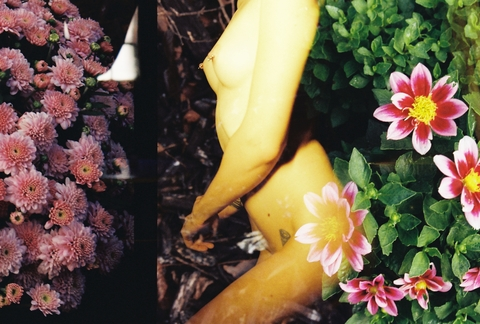 barrybeercan header picture leakfans.com