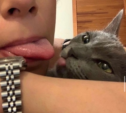 bassoon_chw header picture leakfans.com