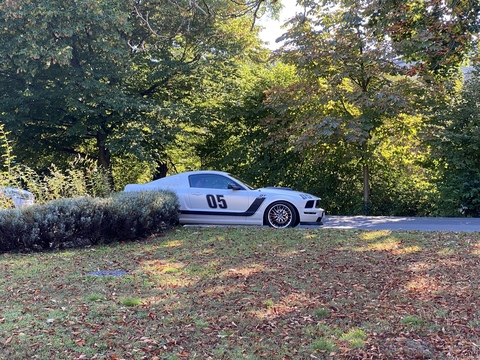 basti2019 header picture leakfans.com