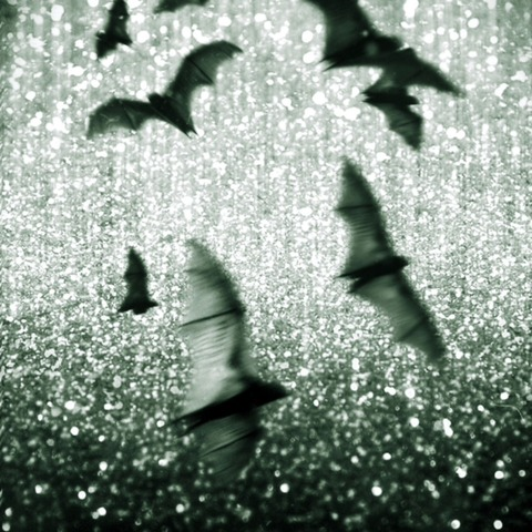 battybimbo header picture leakfans.com