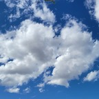 bblive1969 profile picture leakfans.com