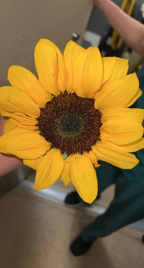 bbwpleasure29 header picture leakfans.com