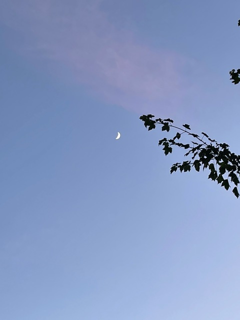 bbyybriiee header picture leakfans.com