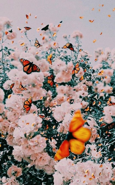 bdbooty02 header picture leakfans.com