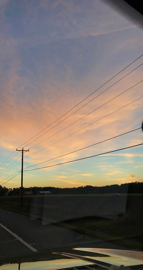 beachbumev header picture leakfans.com