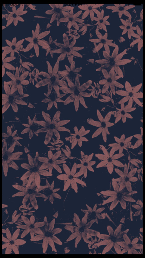 beankittyuwu header picture leakfans.com