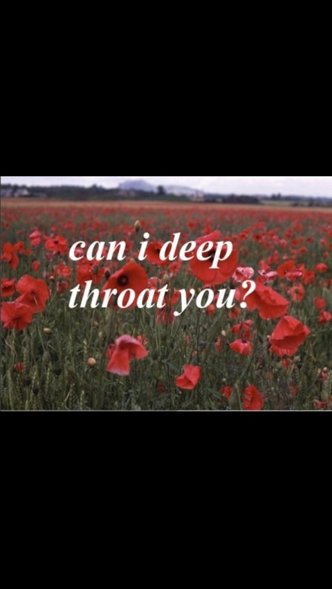 beefybruiser header picture leakfans.com