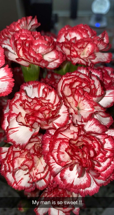 beerich420 header picture leakfans.com