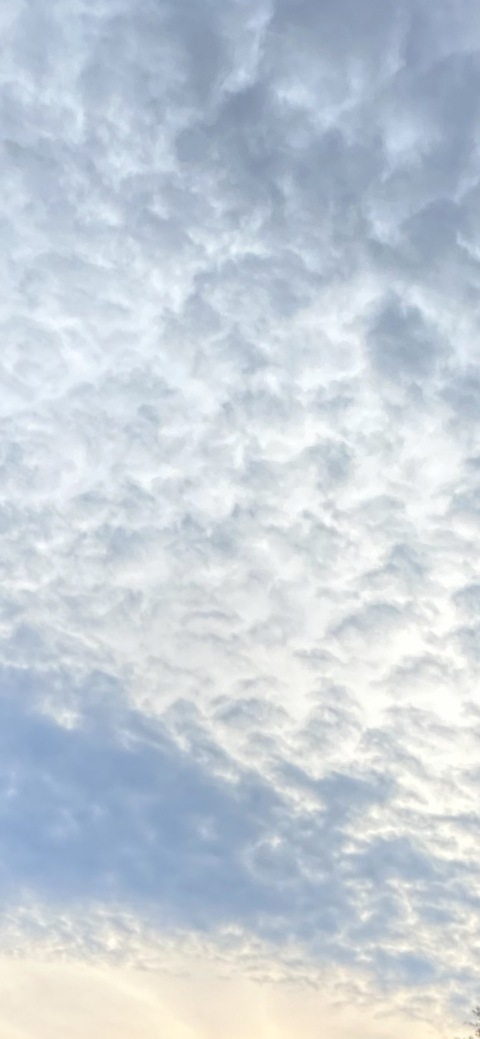 bella7x header picture leakfans.com