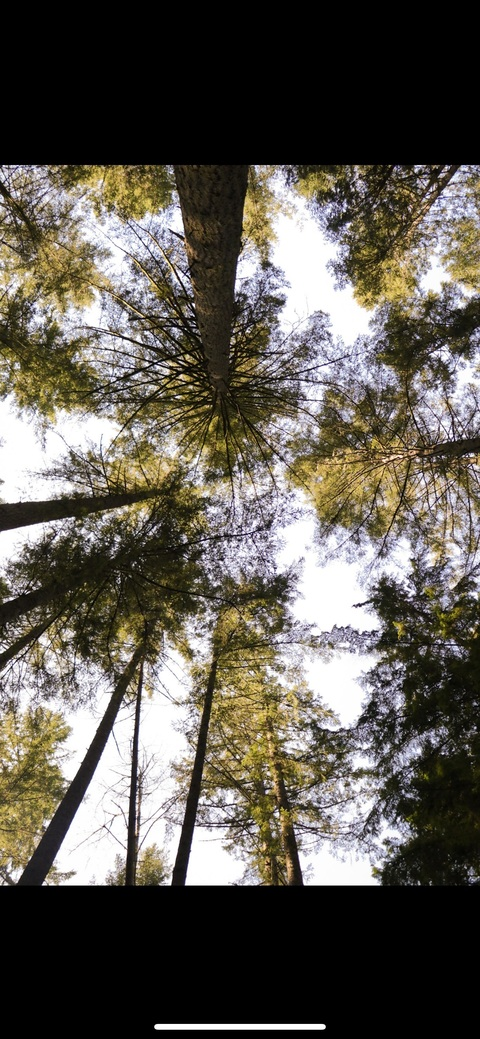 ben.linehan header picture leakfans.com