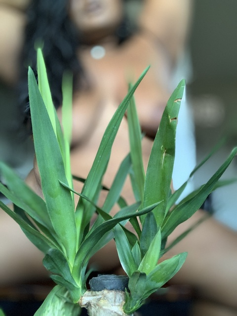 bengalqueen header picture leakfans.com