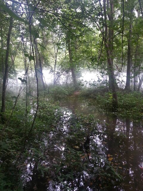 berkoda header picture leakfans.com