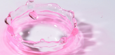 berryrollo header picture leakfans.com