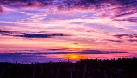 bethanyann header picture leakfans.com