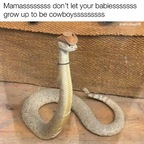 bextre profile picture leakfans.com