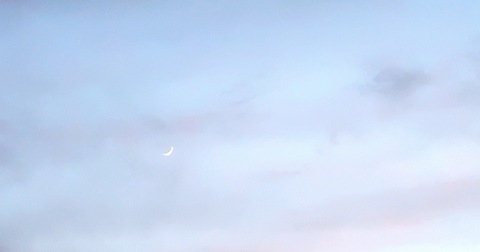 bhadbrooklyn header picture leakfans.com