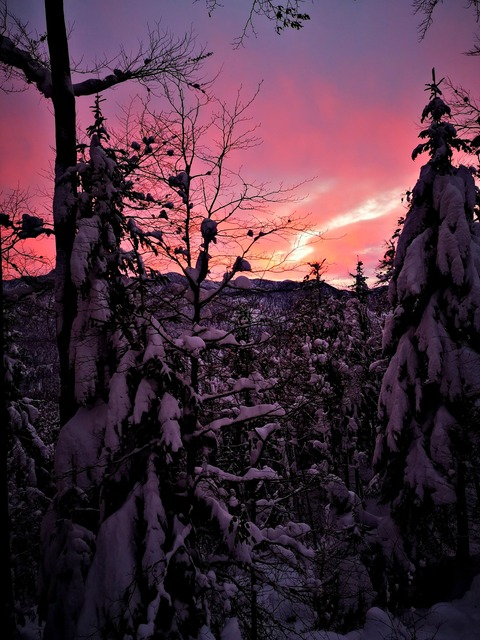 bi-cocknojzl header picture leakfans.com