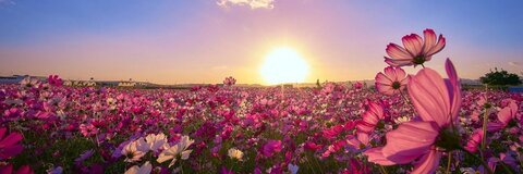 biancas266 header picture leakfans.com