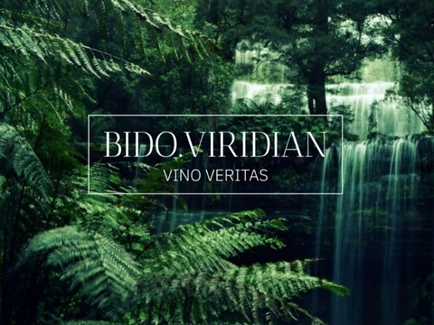 bido.viridian header picture leakfans.com