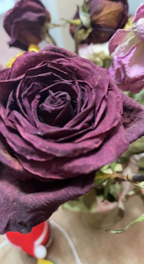 bigbooty1992 header picture leakfans.com