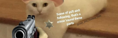 bigcatdog header picture leakfans.com