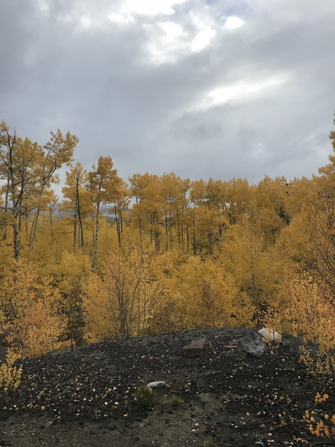 bigpeach1992 header picture leakfans.com