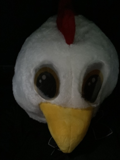 bigt1p header picture leakfans.com